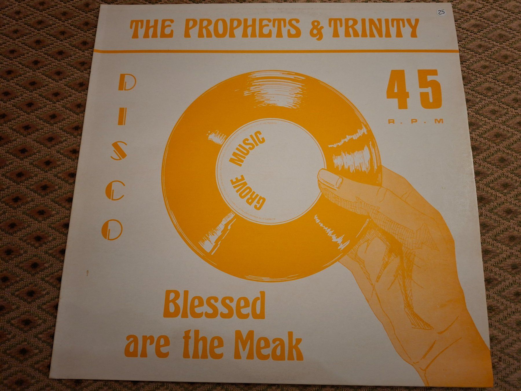 Dischi in vinile: Reggae Maxi 12" -The Prophets & Trinity-Blessed are the Weak – Usato da Bernex venduto da Wannabehasbeen01 1