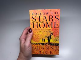NOVEL: Luanne Rice, Follow the stras home