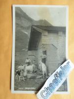 1930 Aelplerleben