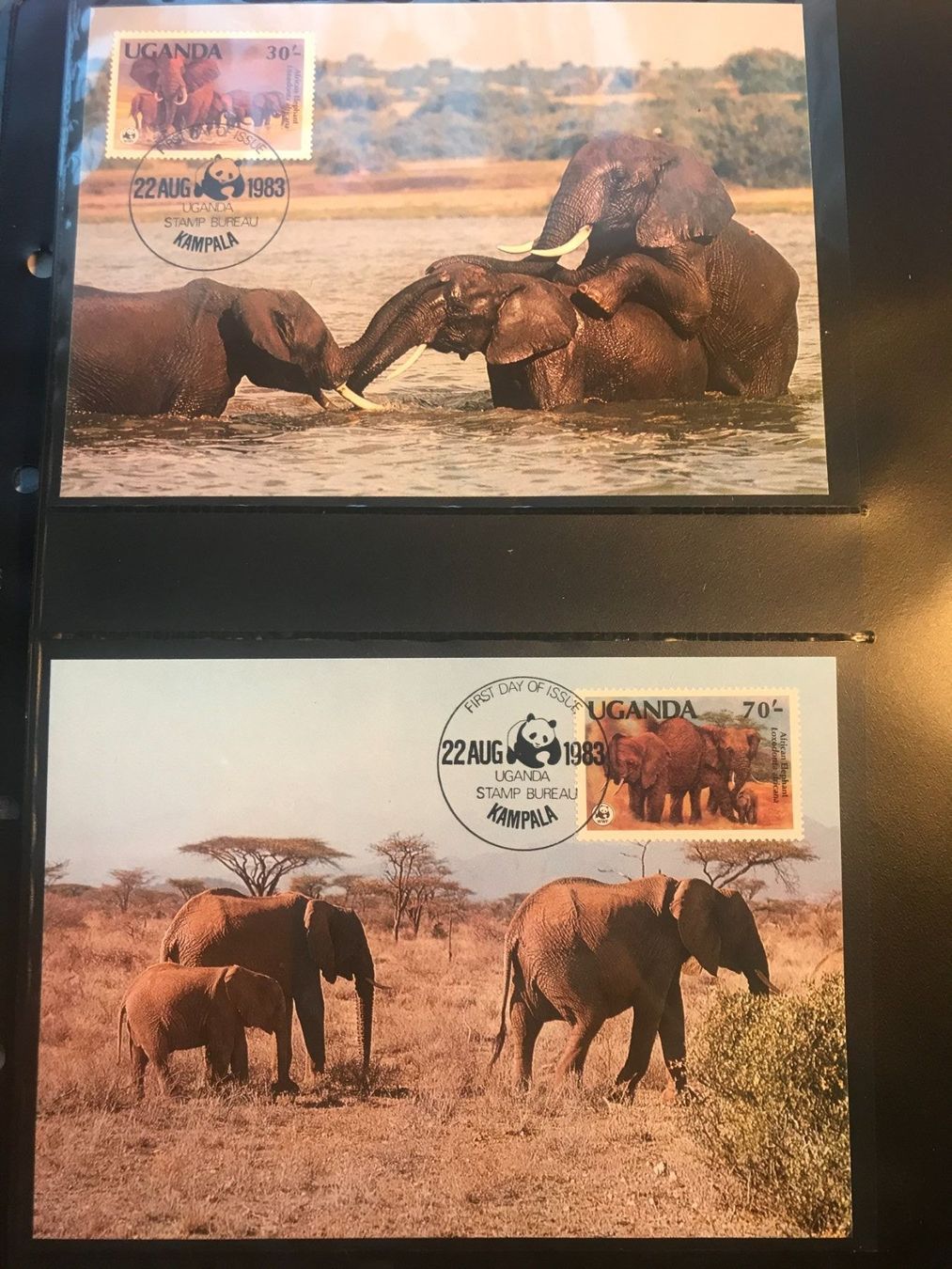 Tutti i francobolli: WWF Uganda 1983 Satz Elefanten Maximumkarten – Nuovo (secondo la descrizione) da Liestal venduto da schnueps 1