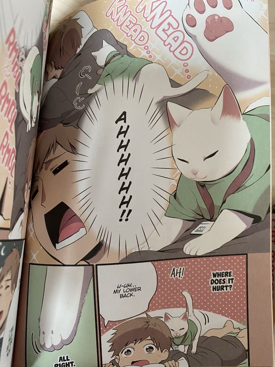 Fumetti: Comedy Manga Cat Massage Therapy 1-2 – Nuovo (secondo la descrizione) da Neftenbach venduto da ctbvm 5