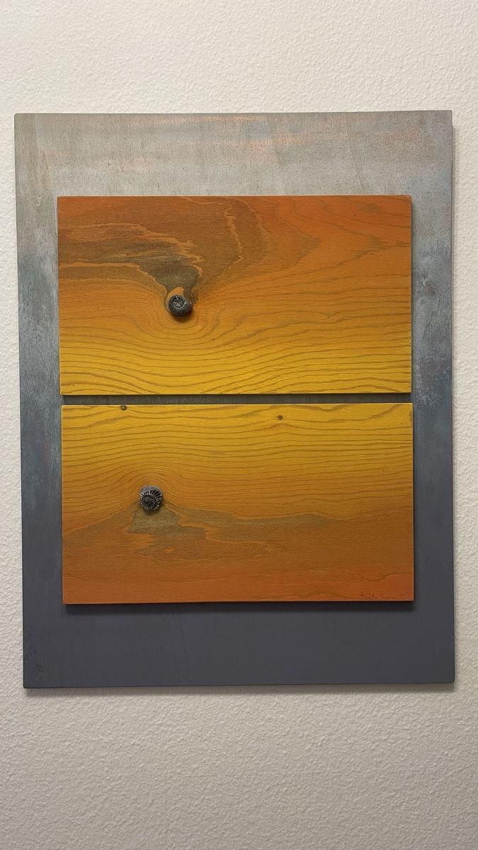 Foto & Immagini: Kunstbild Kunstwerk, Ammonit – Usato da Schönenbuch venduto da hug_f2ny