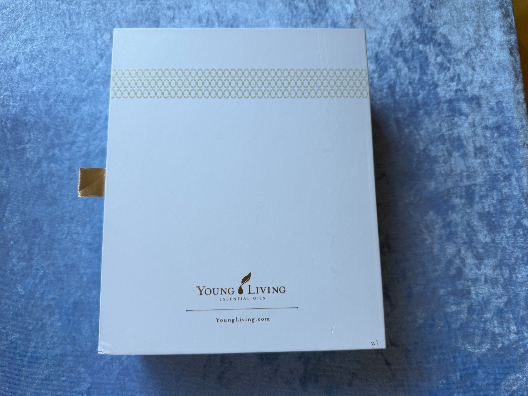 Altro in Decorazioni & Accessori: Verpackung Young Living Seed to Seal Box – Usato da Brunnenthal venduto da Eco07 2