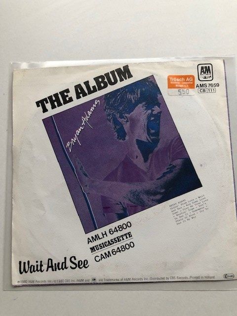 Dischi in vinile: Bryan Adams – Usato da Aarwangen venduto da Jukebox3 1