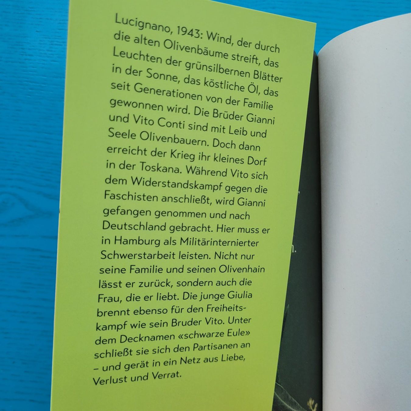 Bücher: Teresa Simon- Zypressensommer – Neu (gemäss Beschreibung) aus SCHÜBELBACH von CoKaHa 1