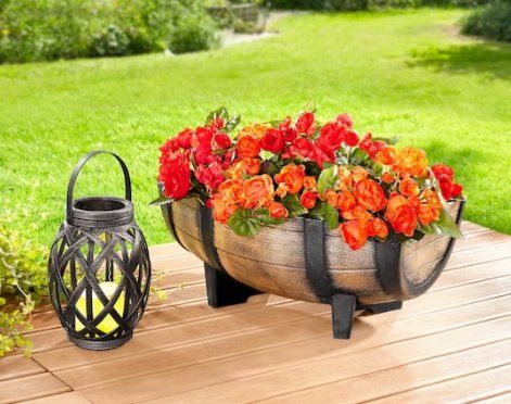 Vasi per fiori: Pflanzschale "Weinfass" (41.5 cm) – Nuovo e nell'imballaggio originale da Langenbruck venduto da Gumsi
