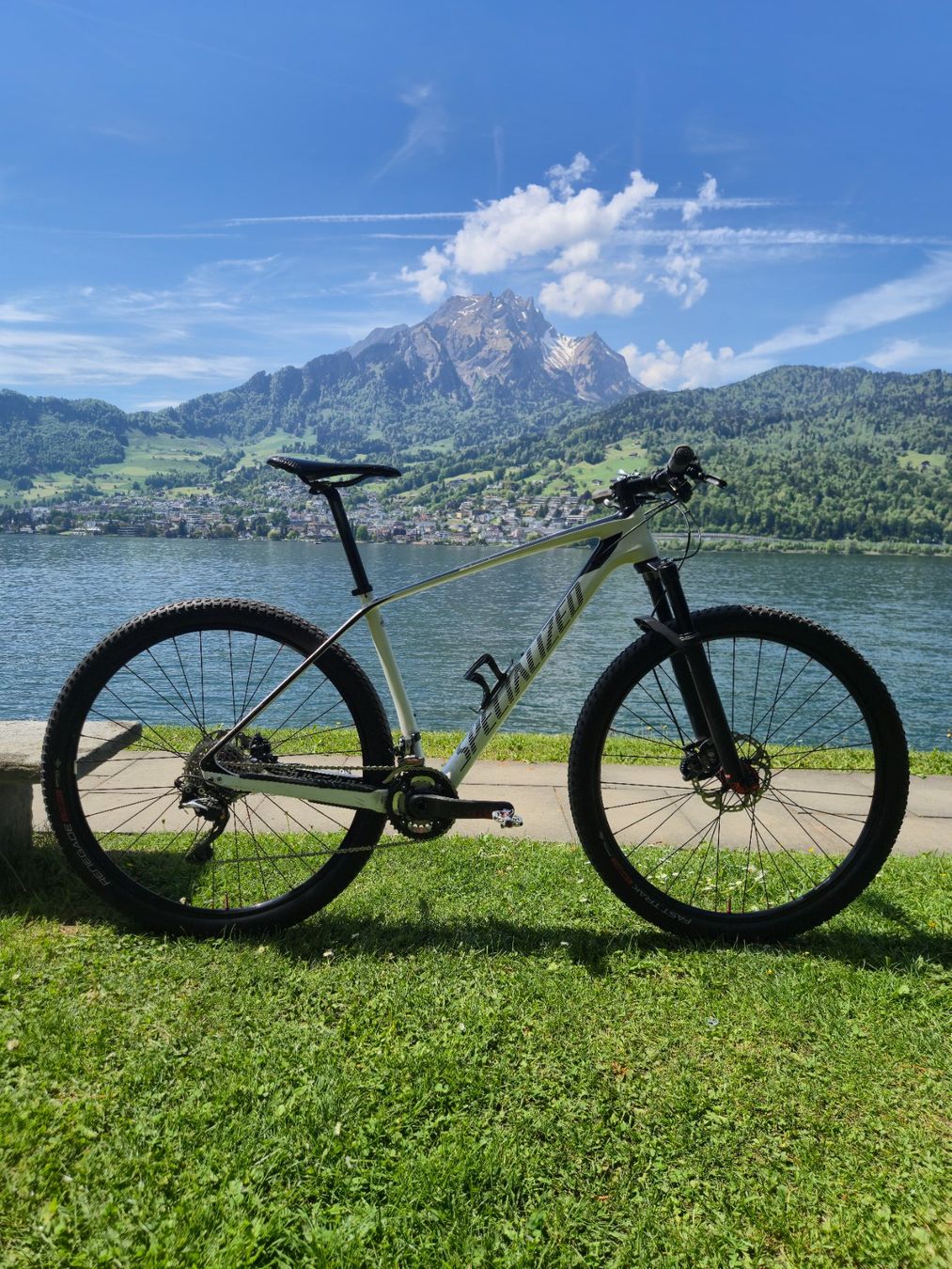 Specialized Biciclette: Custom-Built Specialized Carbon Hardtail 29” - size L - 10.3 – Usato da Kriens venduto da dum_27ww 4