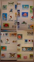 Album div. Motiv Marken