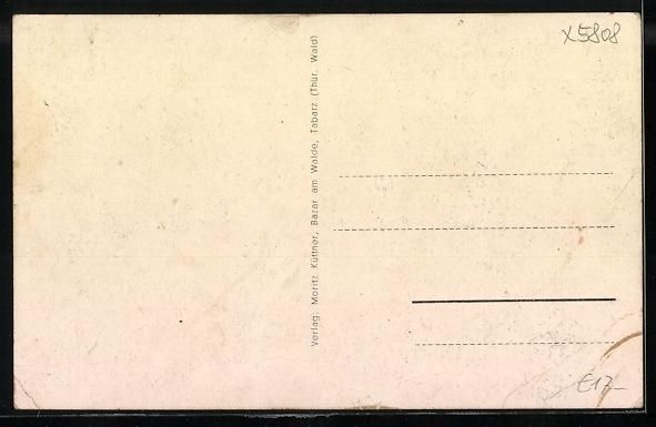 Cartoline postali: Tabarz, Viktoria-Adelheidstrasse mit Ak- – Usato da Berlin venduto da bartko-reher 1