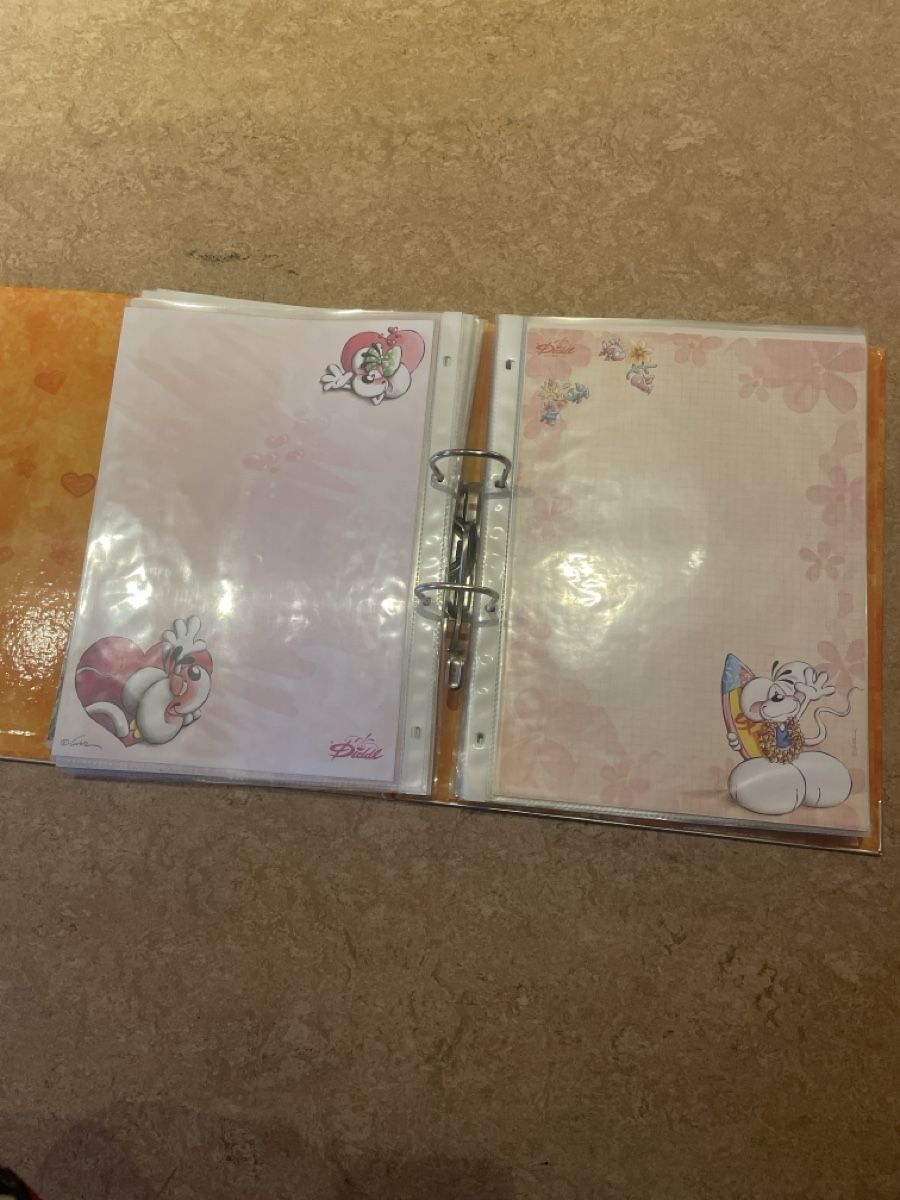 Fumetti: Diddl A4 + Briefpapier – Nuovo (secondo la descrizione) da Oberägeri venduto da cdoppi 3