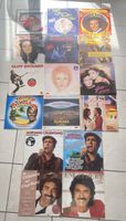 Schallplatten Konvolut 16 LPs verschiedene Interpreten