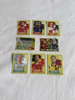 Panini Sticker 