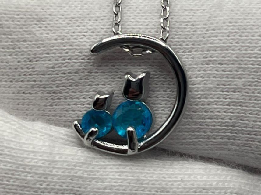 Catenine: Collier pendentif en argent – Usato da Praz (Vully) venduto da VVSWISS