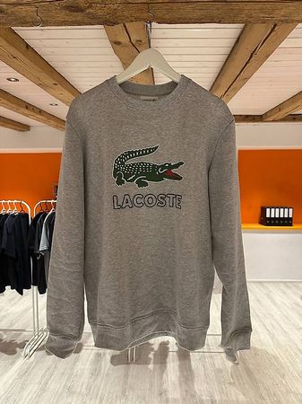 Lacoste Sweatshirt od. Pullover / GR L