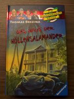 Die Knickerbocker-Bande: Haus Höllensalamander 