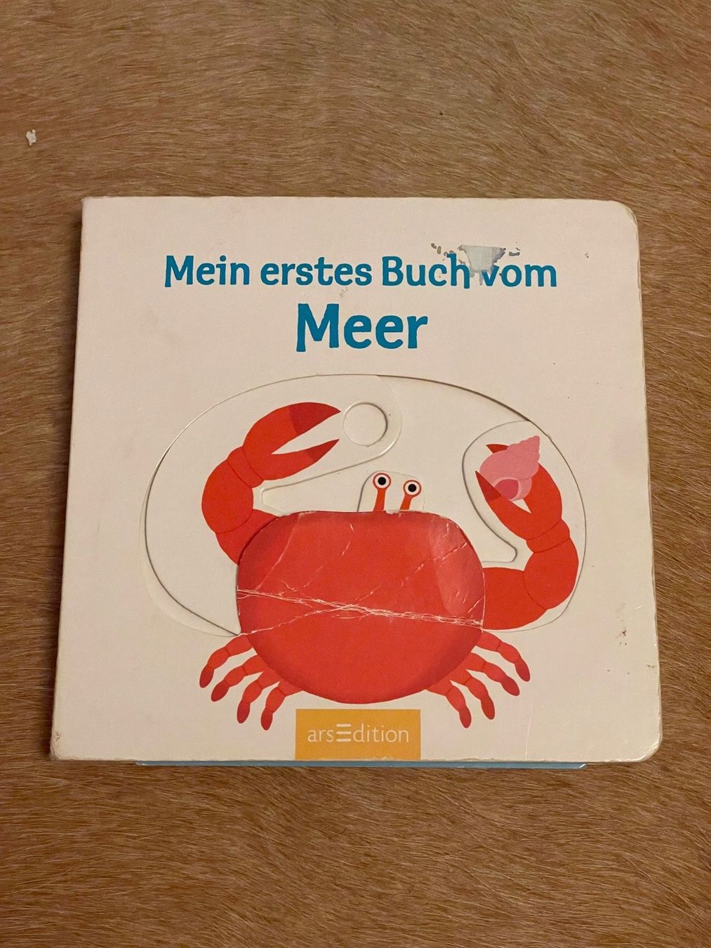 Bücher: Kinderbuch "Mein erstes Buch vom Meer" – Gebraucht aus luzern von plueschmors.