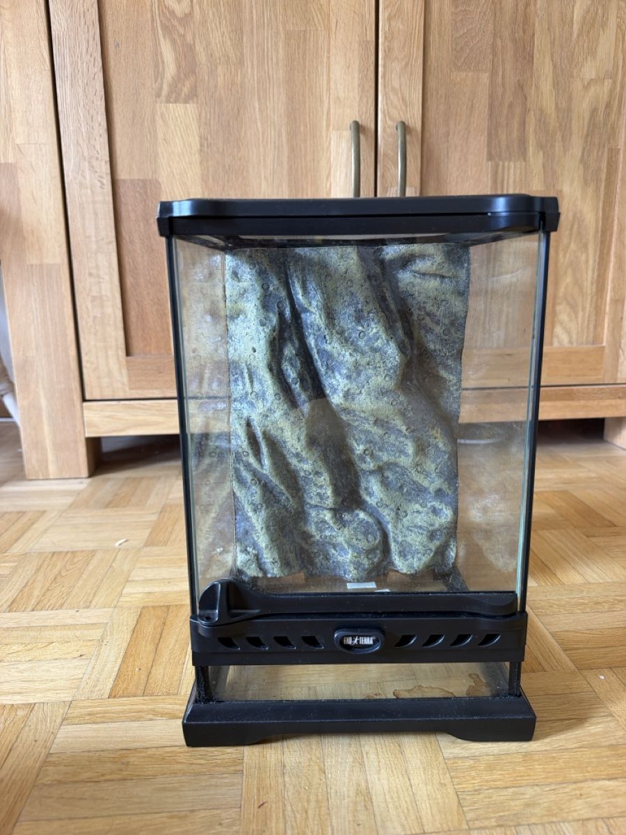 Exo terra Terrarium: Terrarium Eko Terra – Gebraucht aus Basel von Chrispi80 1