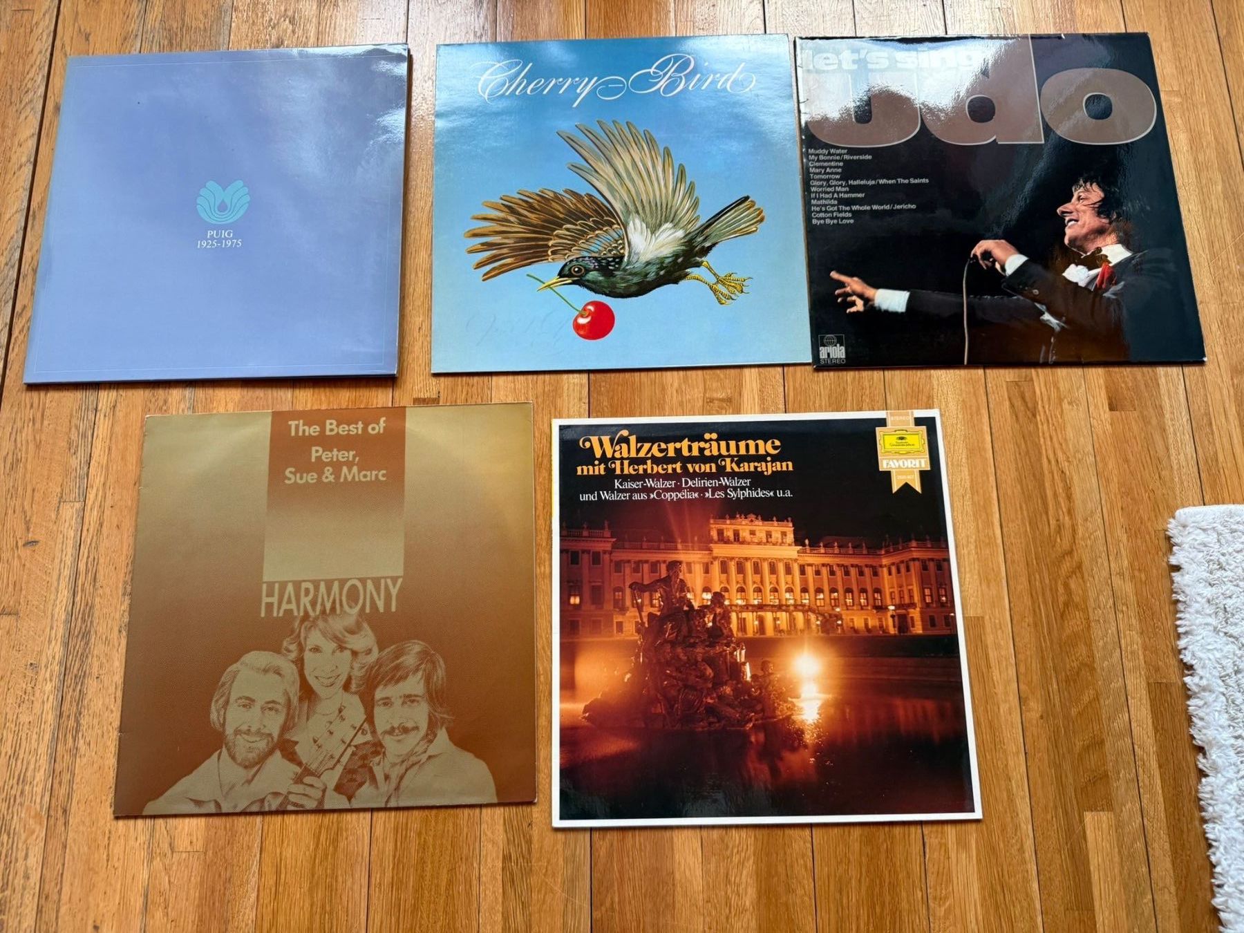 Dischi in vinile: Schallplatten im Set – Usato da Amden venduto da Tango74 1