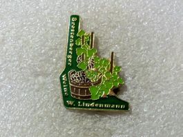 Ansteckpin 100: