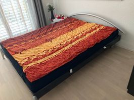 Bett mit Matratze 160x200cm (inkl. Nachttisch)
