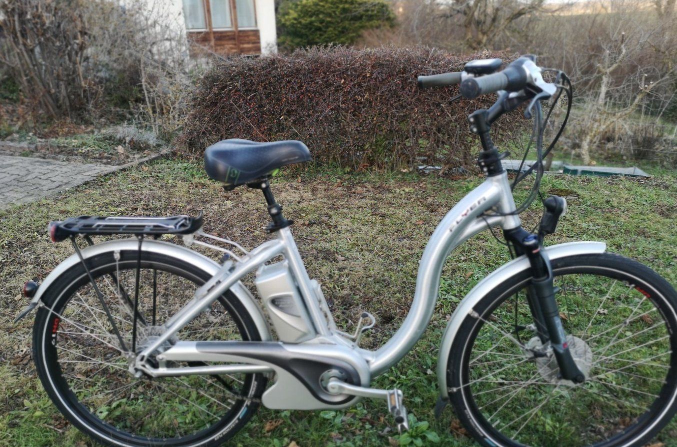 Flyer Biciclette: E-Bike Flyer – Usato da Mühlethal venduto da Dadooli 2