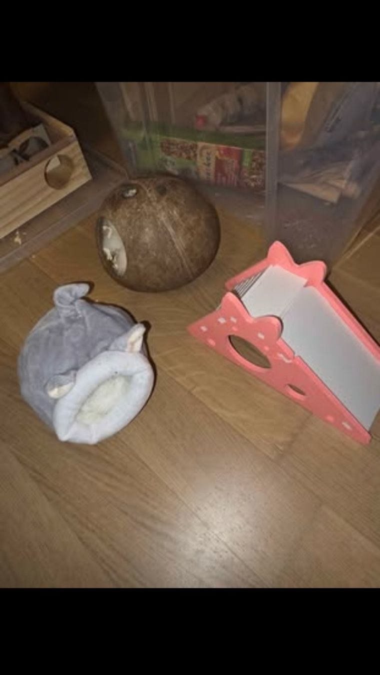 Gabbie, trasporto & Sicurezza: Hamsterkäfig mit Zubehör gebraucht – Usato da Glattpark(Opfikon) venduto da dra_lw2t 4