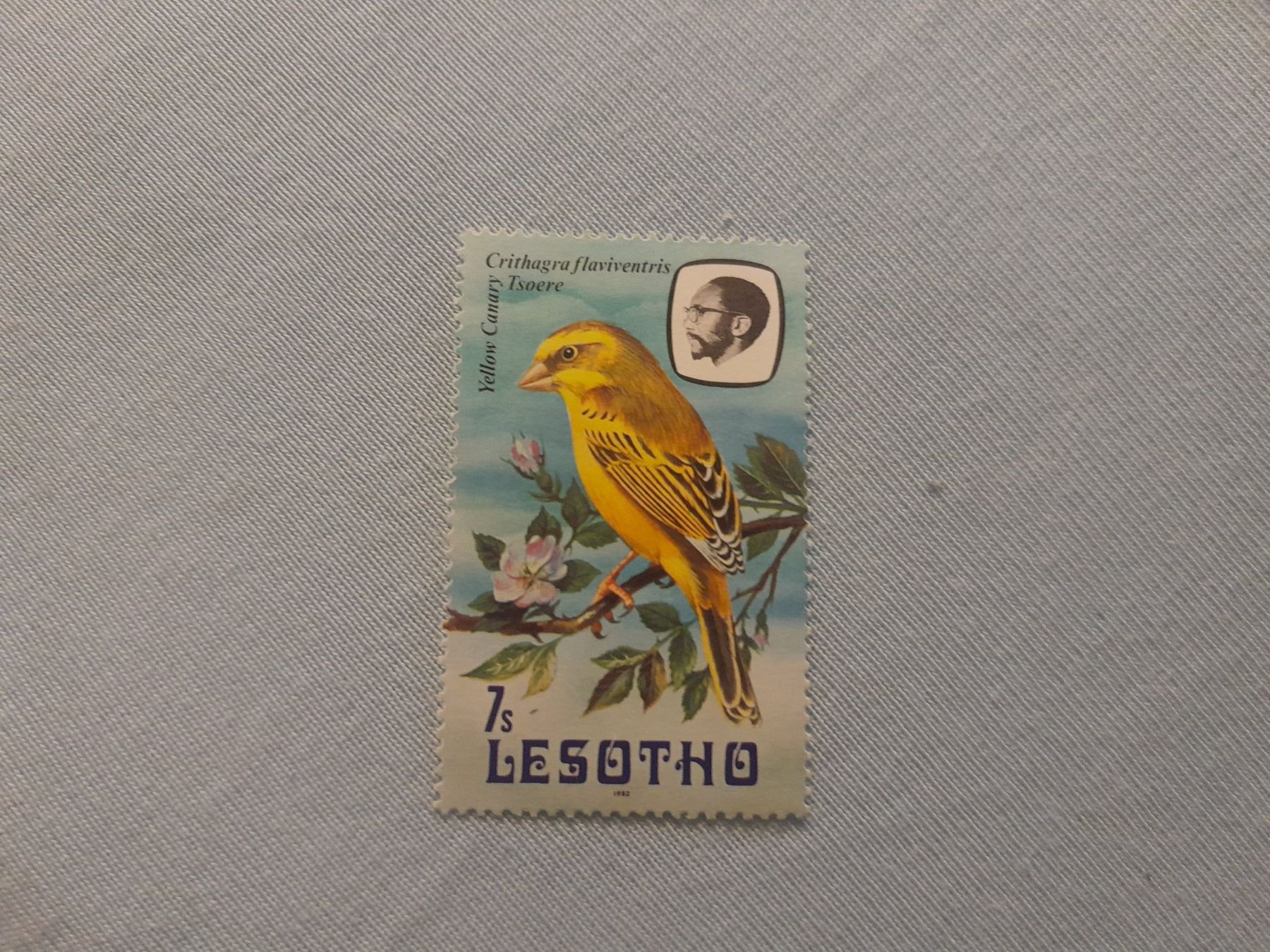 Tutti i francobolli: Lesotho Vögel – Usato da Marly venduto da globetrotter1723