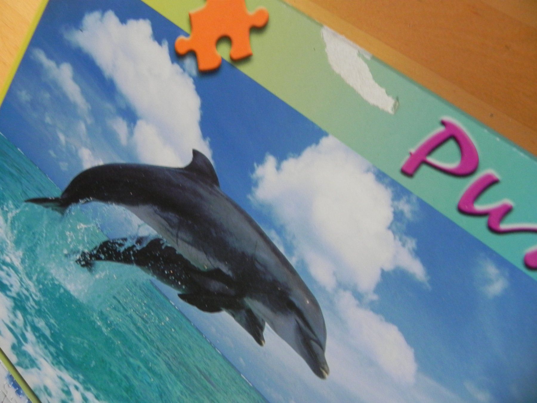 Puzzle: Puzzle Delfin 1000 Teile springende Delfine – Usato da Stallikon venduto da pcerny16 3