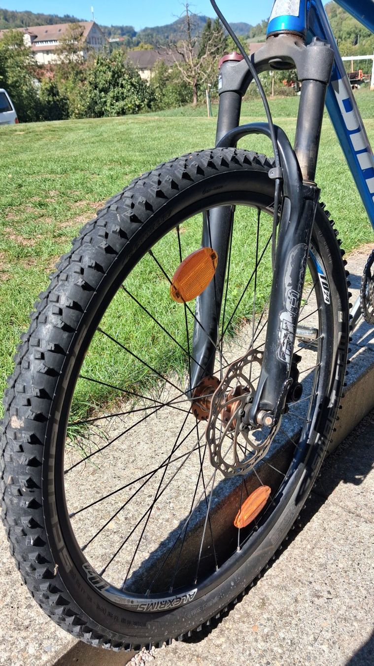 Bixs Biciclette: Mountainbike BIXS, blau – Usato da Rorbas venduto da siramad 2
