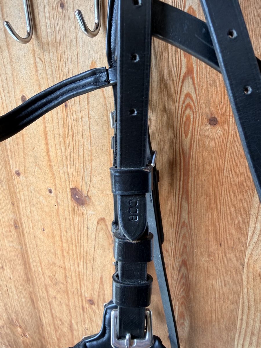 Zaumzeug & Halfter: Hackamore-Zaumzeug in schwarz, Cob – Neu (gemäss Beschreibung) aus Lützelflüh-Goldb von Cashew8 2