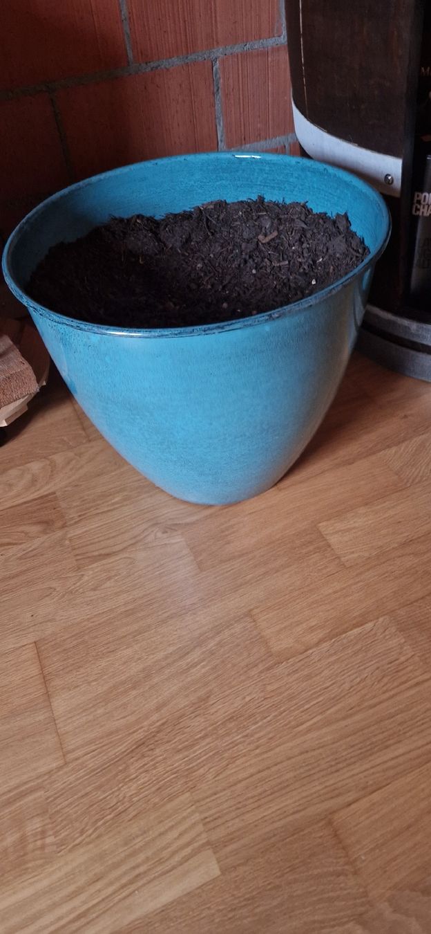 Casseroles: Blauer Topf mit Erde 🌱 – Neuf (Voir description) à Rheineck par SilviaGO1