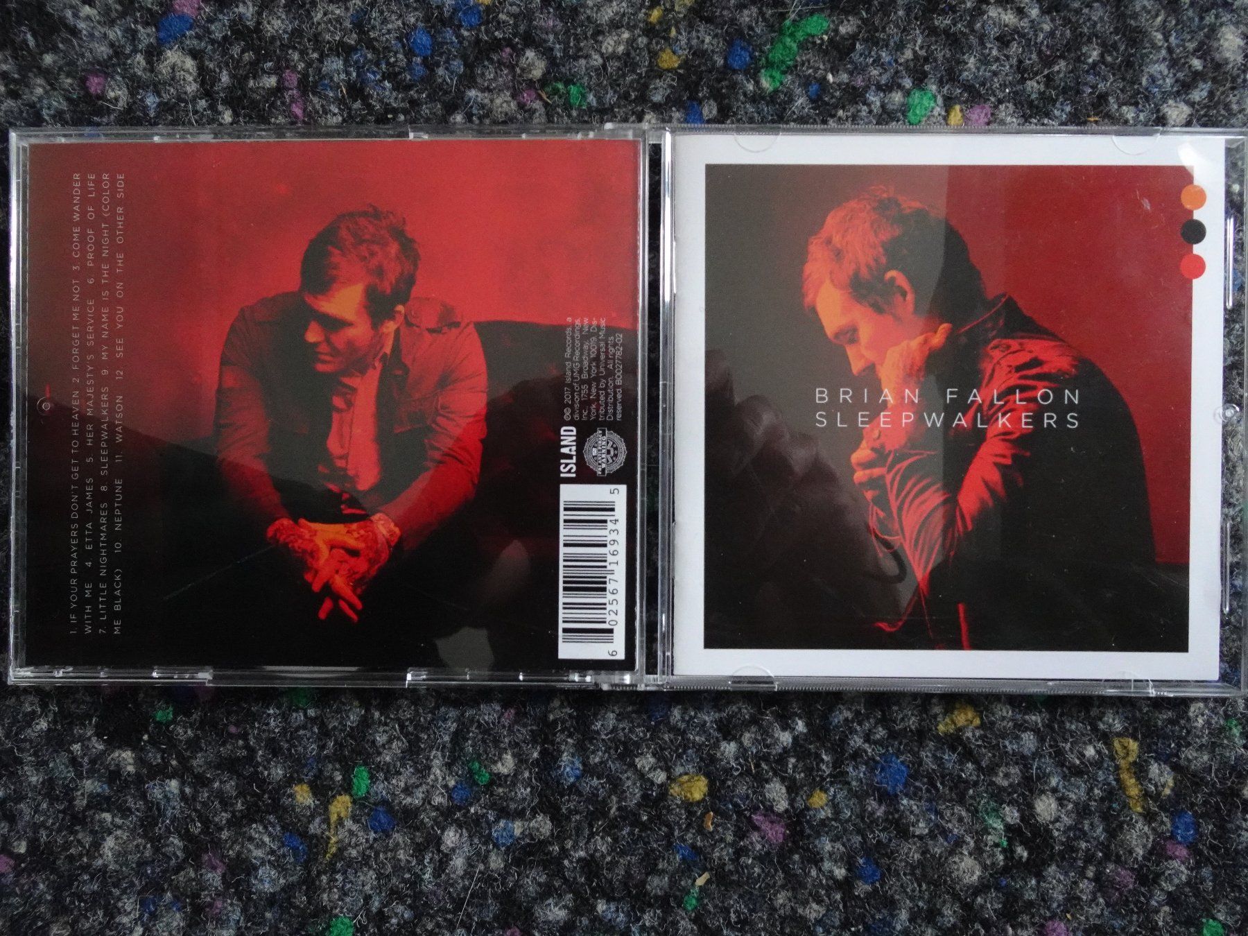 CD: CD : Brian Fallon – Usato da Lotzwil venduto da Kiddis