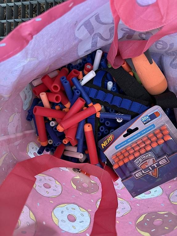 Nerf Giocattoli: Nerf Blaster Sammlung mit Zubehör/Darts – Usato da Geroldswil venduto da mimilika 2
