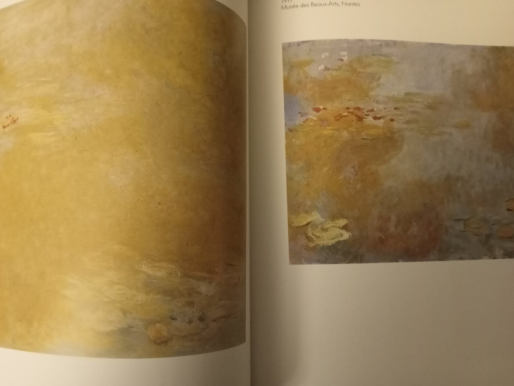 Bücher: Claude Monet: Nympheas Impression-Vision – Gebraucht aus Luzern von Einh0rn 6