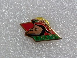 Ansteckpin 250: Erato