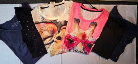 Kleiderpaket 6 Damen T-Shirt Bunt gemischt Grösse 48/50
