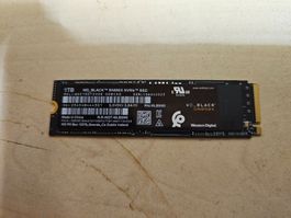 1 TB WD Black Festplatte