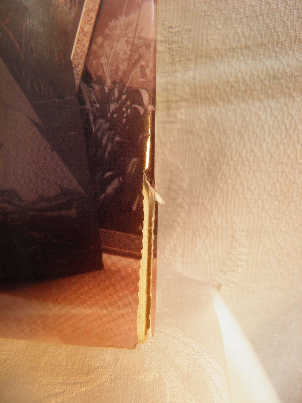 Libri: Buch A PASSION FOR DETAIL – Usato da Rüti ZH venduto da corvus-corvus 1