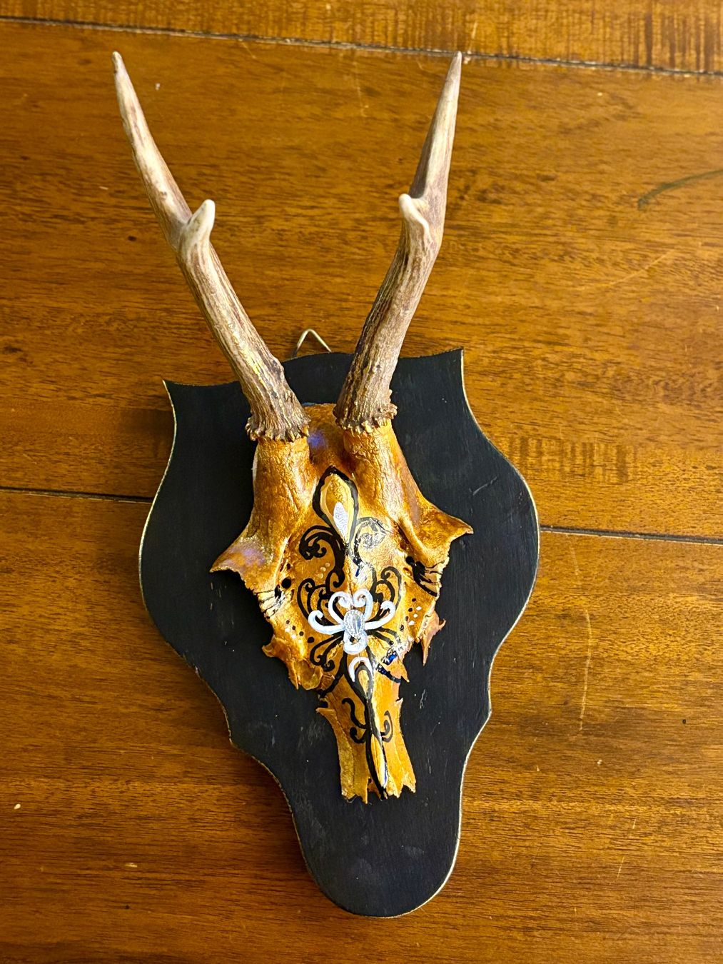 Altre raccolte & rarità: Wildewandkunst Rehschädel Unikat – Nuovo (secondo la descrizione) da Erlinsbach SO venduto da sofieee
