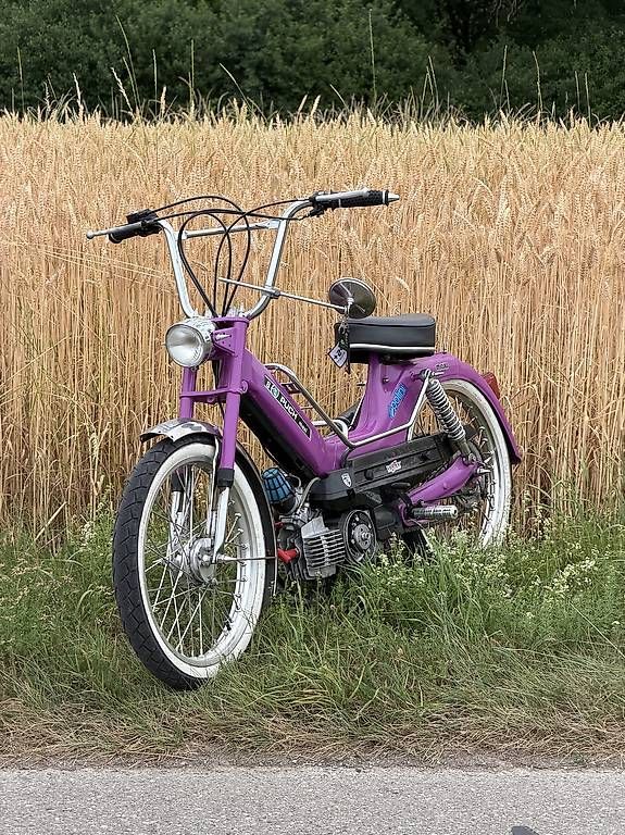Puch Ciclomotori: Puch maxi s (z50 polini 12ps) – Usato da Gerzensee venduto da Schwabli