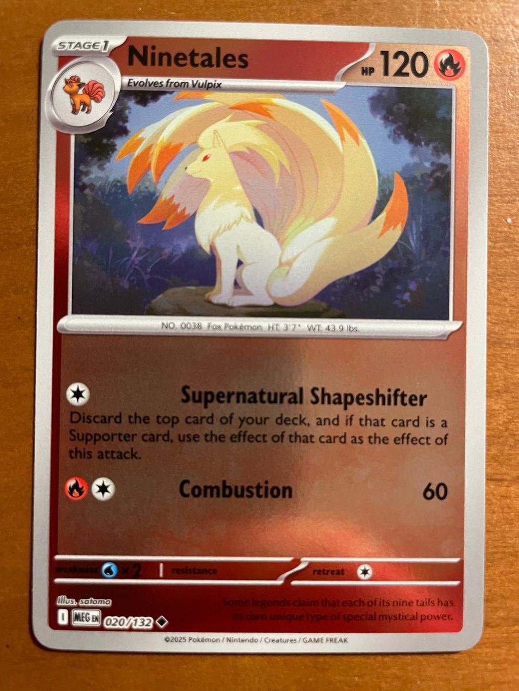 Pokémon Carte collezionabili: Pokemon Ninetales Reverse (Versand gratis) – Nuovo (secondo la descrizione) da Chur venduto da Angerson