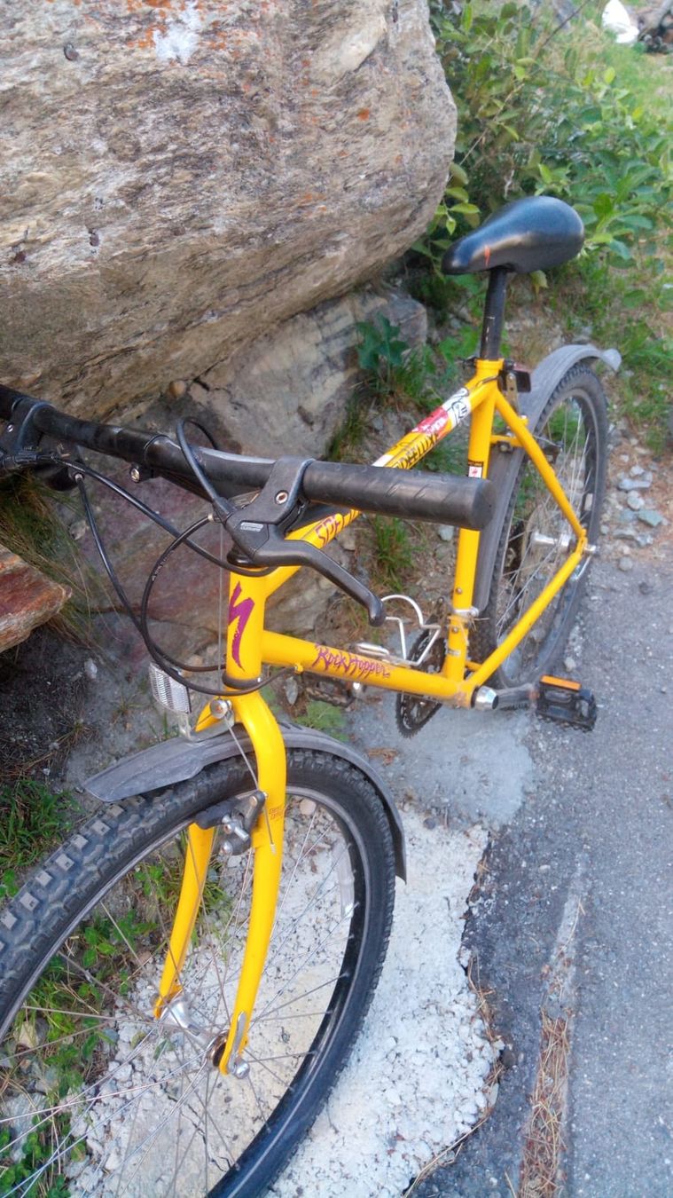 Specialized Biciclette: Specialized bike, Rad – Usato da Saas-Fee venduto da Via2025 3