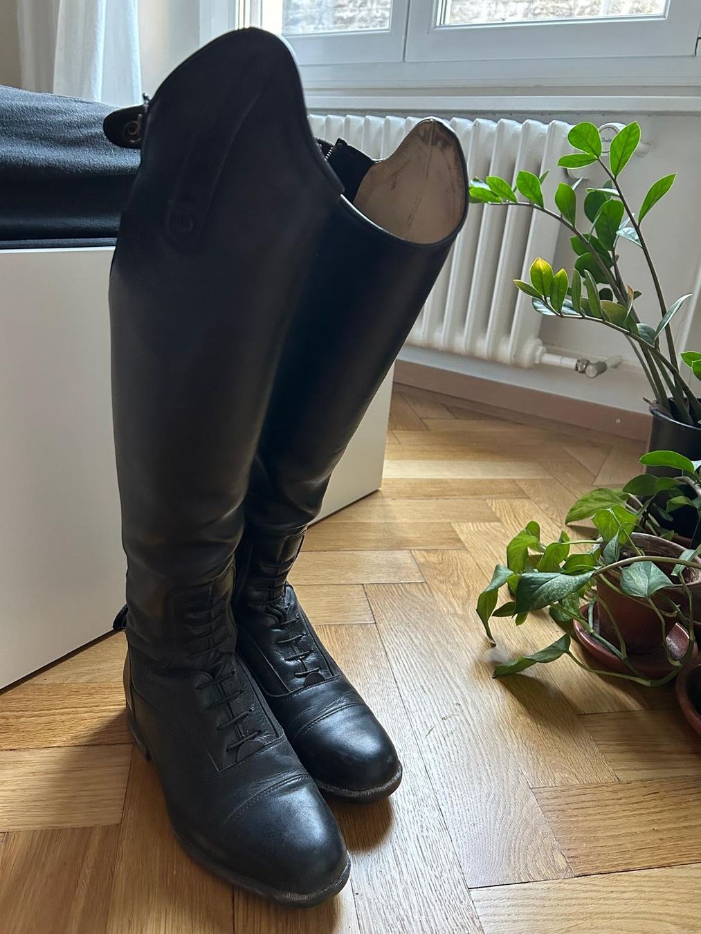 Felix Bühler Damenschuhe: Bottes équitation taille 39 – Gebraucht aus Lausanne von cadeha 2
