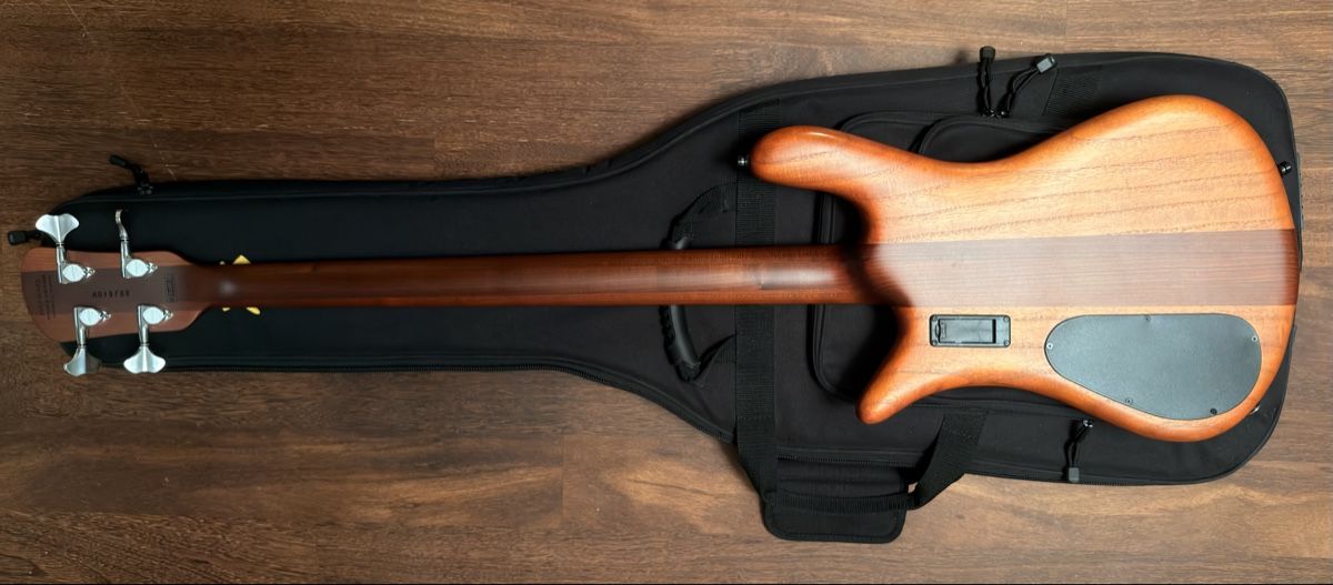 Strumenti musicali: Spector RST 4-String in Sienna Stain – Nuovo (secondo la descrizione) da Pfäffikon ZH venduto da roman-zuerich 2