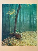 Original Vintage Poster - Kyoto - Bambuswald