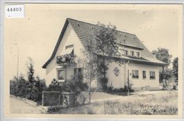Haus zum "Basilisk" Zollikofen