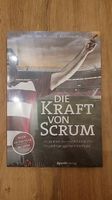 Fachbuch «Die Kraft von Scrum», R. van Solingen