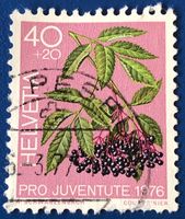 Pro Juventute Gestempel    