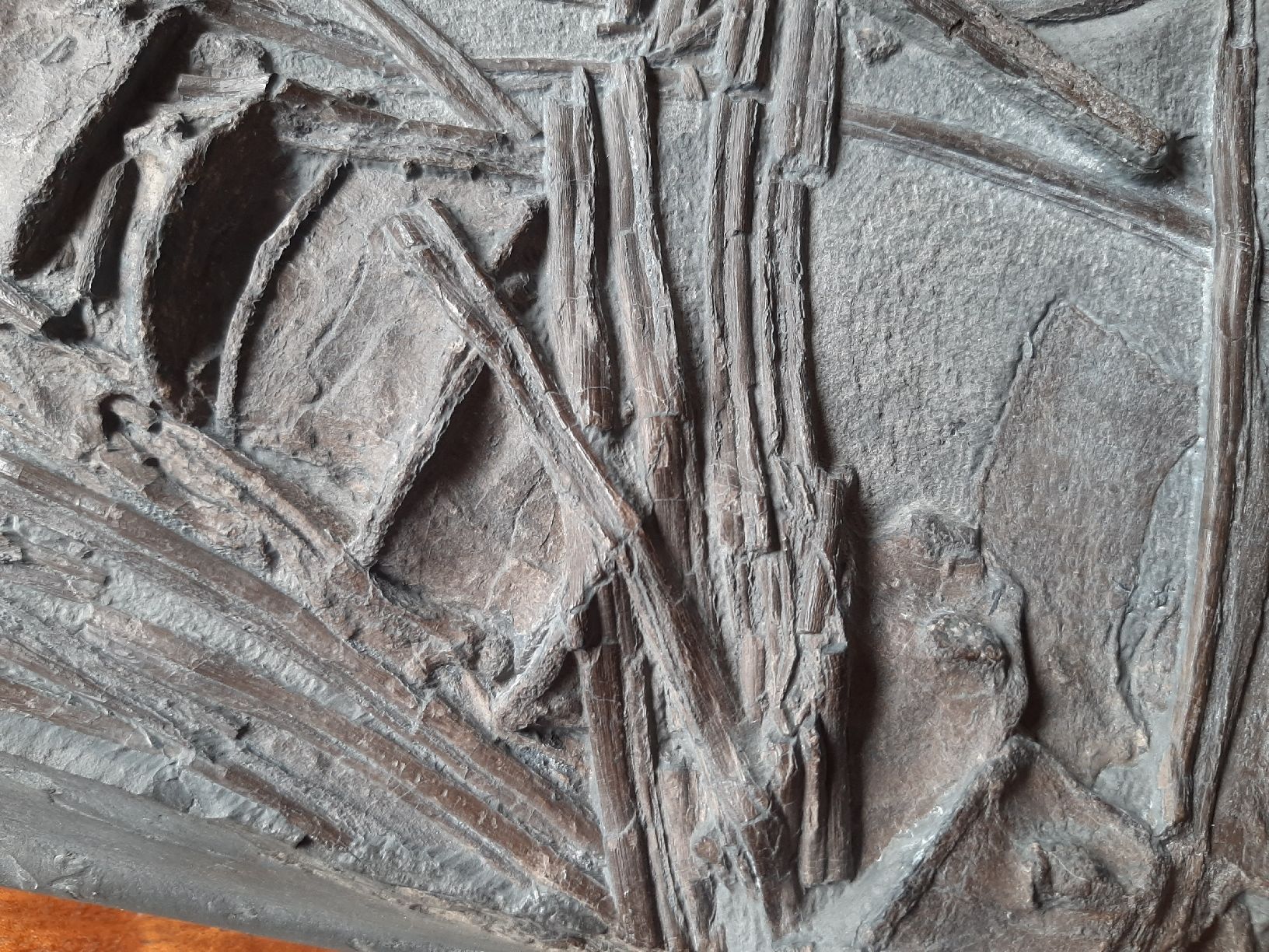 Fossili: Ichthyosaurier Wirbelsäulenstück und Rippen – Usato da Rickenbach BL venduto da Oktober68 4