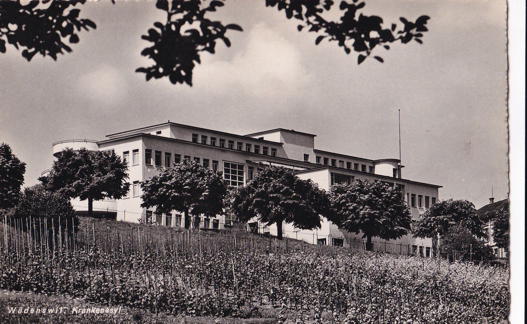 Cartoline postali: Wädenswil Krankenasyl – Usato da Olten venduto da clotaldi